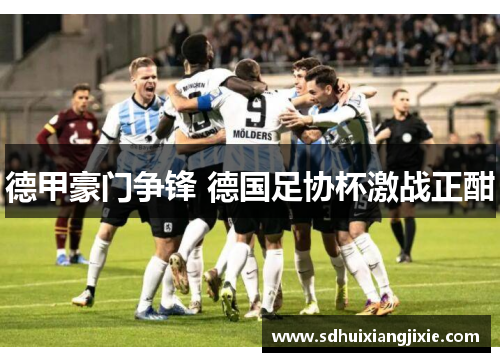德甲豪门争锋 德国足协杯激战正酣